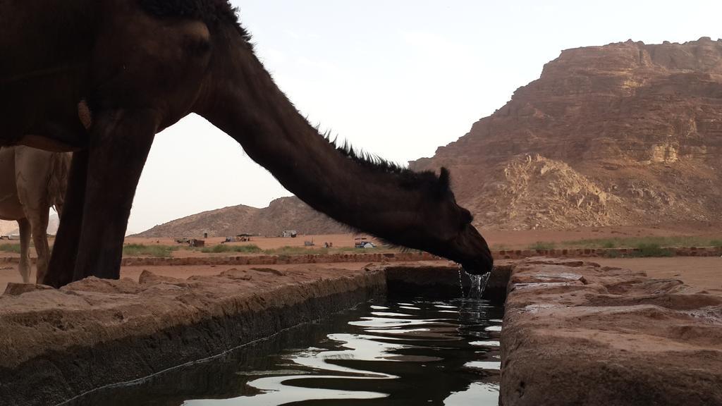 Bedouin Traditions Camp ワディ ・ラム エクステリア 写真